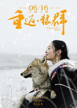 落在香杉树的雪花